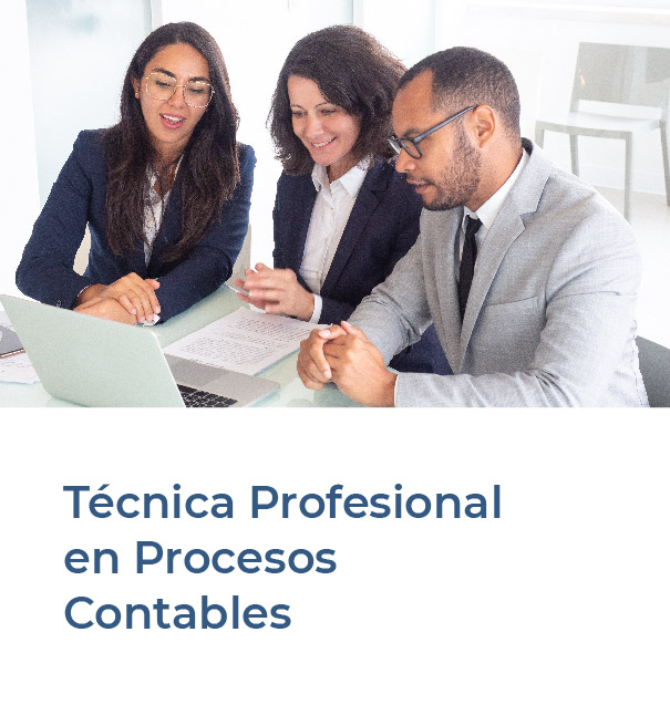 Técnica profesional en procesos contables